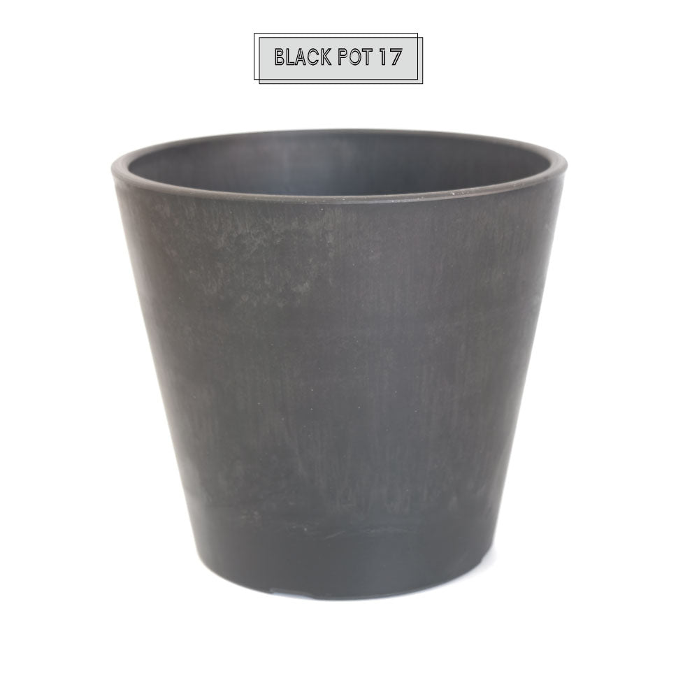 植木鉢 ブラックポット17 black plastic pot 頑丈 おしゃれ 塊根植物 多肉 黒プラスチック鉢 径17cm 高さ13.5cm スタンダード