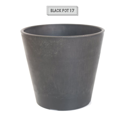 植木鉢 ブラックポット17 black plastic pot 頑丈 おしゃれ 塊根植物 多肉 黒プラスチック鉢 径17cm 高さ13.5cm スタンダード
