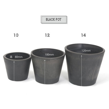 植木鉢 ブラックポット12 black plastic pot 径12cm 高さ10cm black plastic pot 4号 アガベ コーデックス サボテン