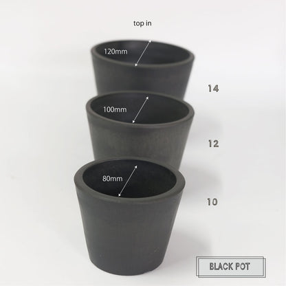 植木鉢 ブラックポット12 black plastic pot 径12cm 高さ10cm black plastic pot 4号 アガベ コーデックス サボテン