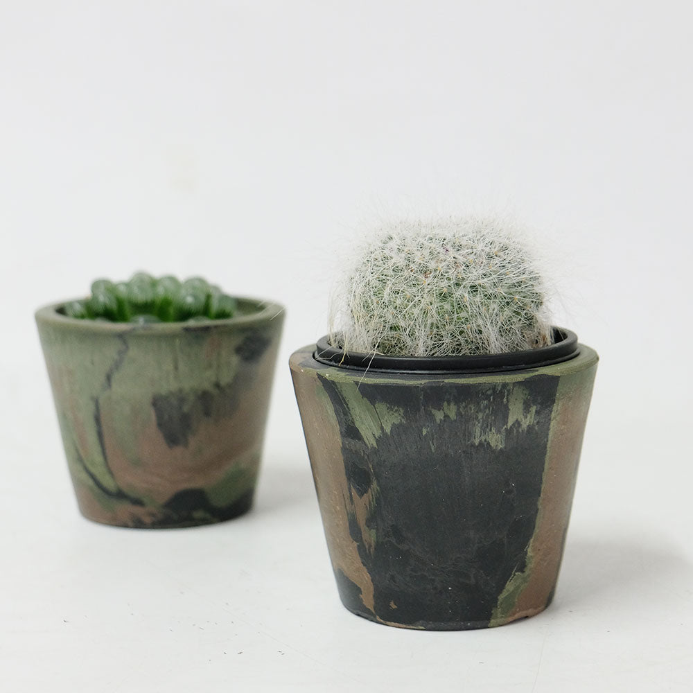 プラ鉢  カモフラージュポット10 迷彩柄 CAMO プラスチック鉢 径10cm 高さ8cm 3号 サボテン コーデックス
