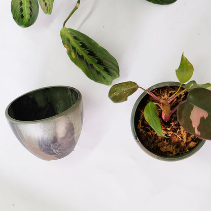 プラ鉢 カモフラージュポット bowl 10 迷彩柄 CAMO 径10.5cm 高さ8cm 頑丈 コーデックス サボテン
