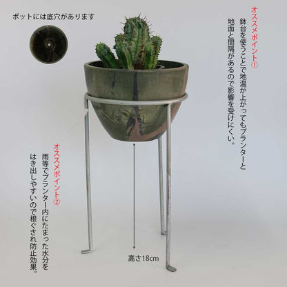プラ植木鉢 カモフラージュボウル15＆シルバースタンドセット