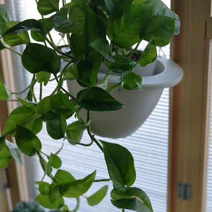 ブレードハンギング13 植木鉢 おしゃれ ハンキング 吊り下げ  プラ鉢