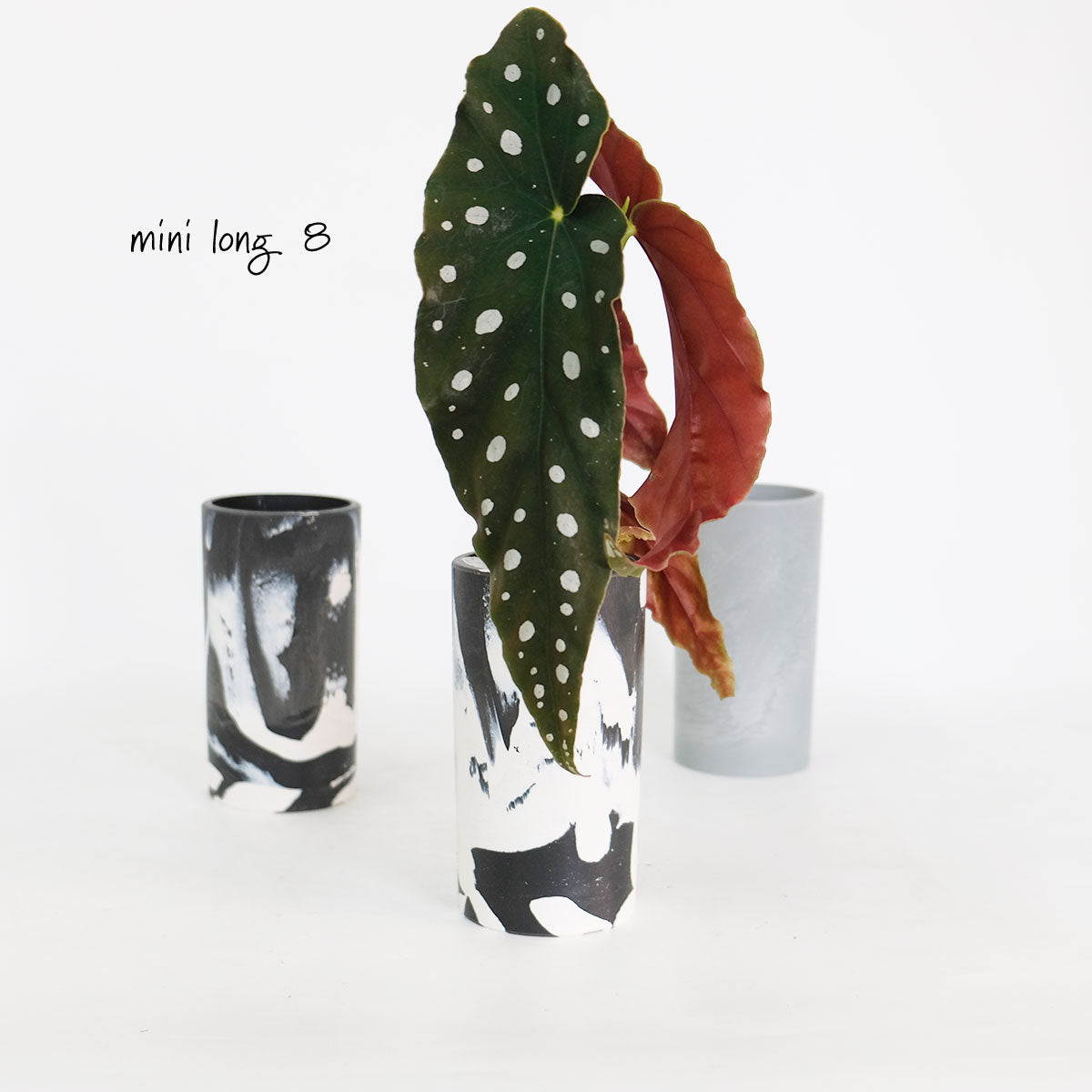 植木鉢 プラ鉢 おしゃれ 軽いプラポット mini long pot 8 サボテン 頑丈 塊根植物 多肉 黒プラスチック鉢
