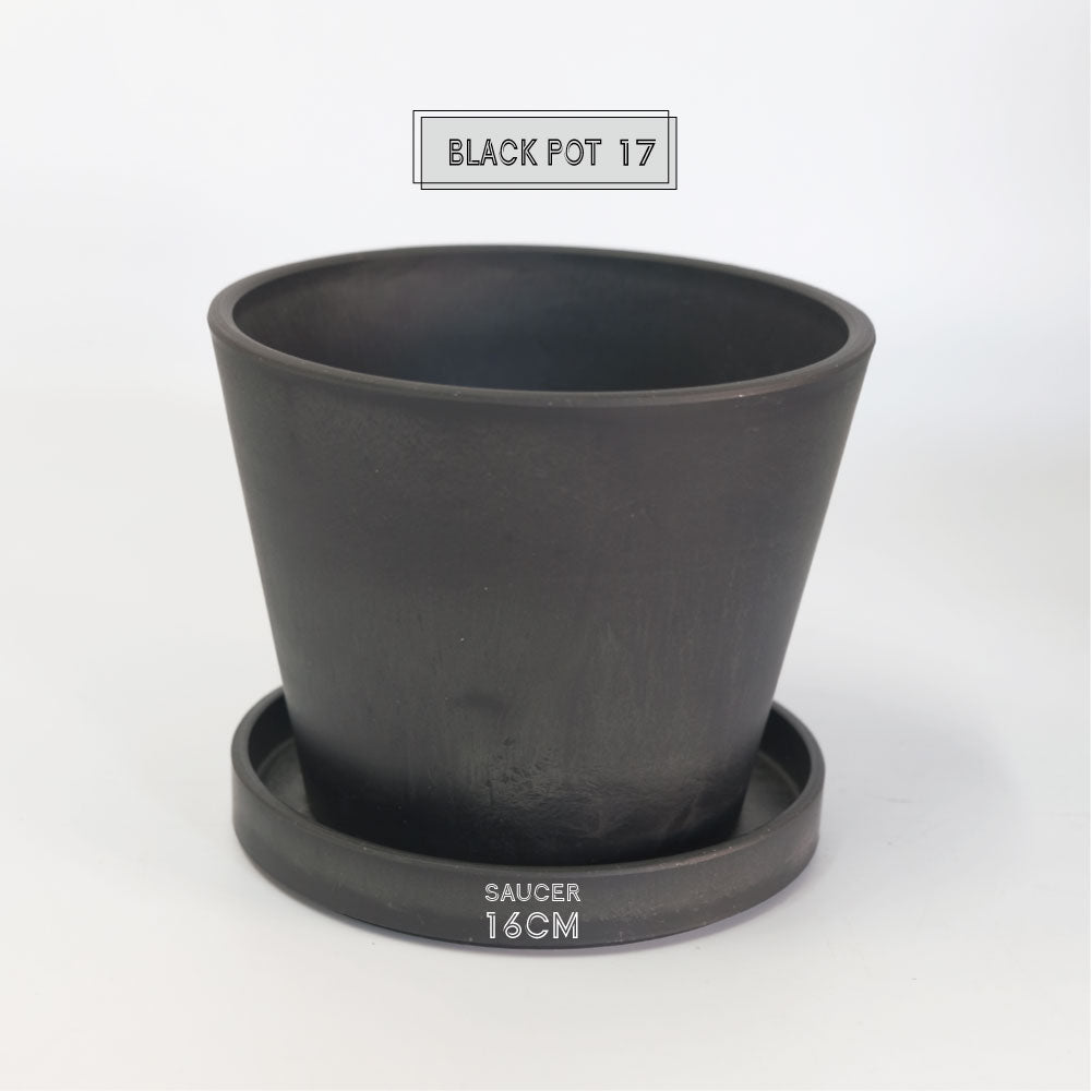 植木鉢 ブラックポット17 black plastic pot 頑丈 おしゃれ 塊根植物 多肉 黒プラスチック鉢 径17cm 高さ13.5cm スタンダード