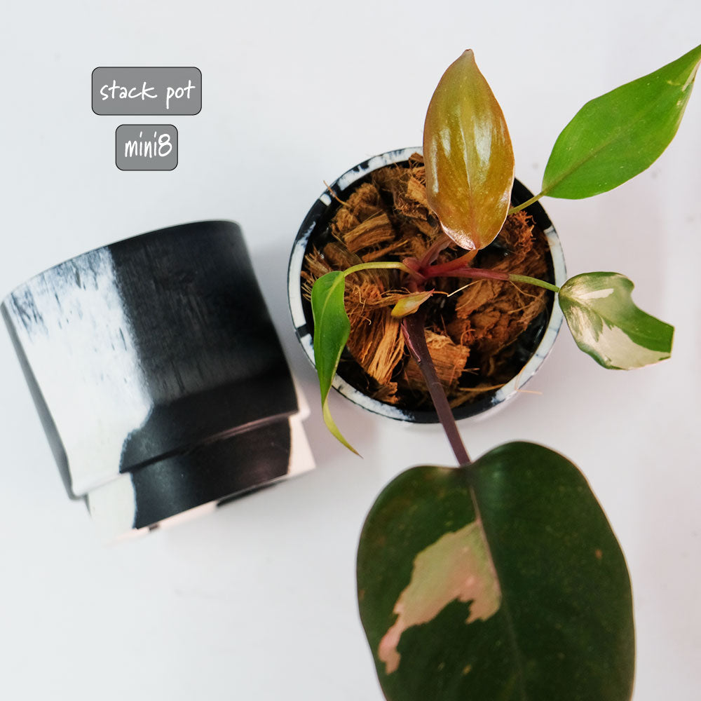 植木鉢 プラ鉢 おしゃれ 軽い スタックmini 8マーブル  頑丈 塊根植物 多肉 黒白プラスチック鉢 径8cm 高さ8cm プラスチック鉢