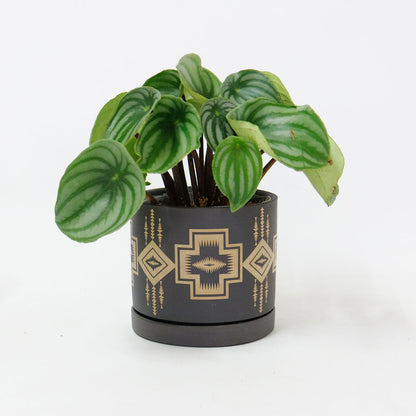 陶器鉢 おしゃれ パターンポット11 植木鉢 受皿付 径11 高10cm 3.5号