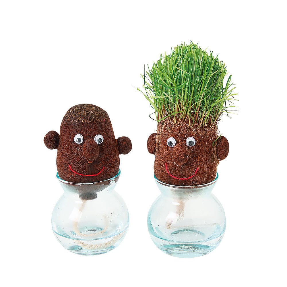 HAIR LABO ガーデニング 栽培キット 芝 室内 おもしろ植物 ヘアラボ