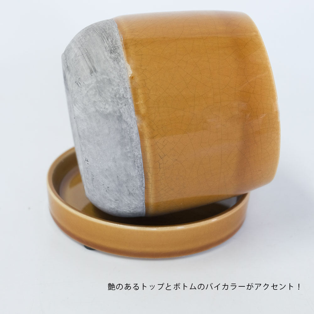 植木鉢 Plaisir 13 陶器鉢 おしゃれ バイカラー ツヤ 光沢 径14cm 高12cm 底穴あり