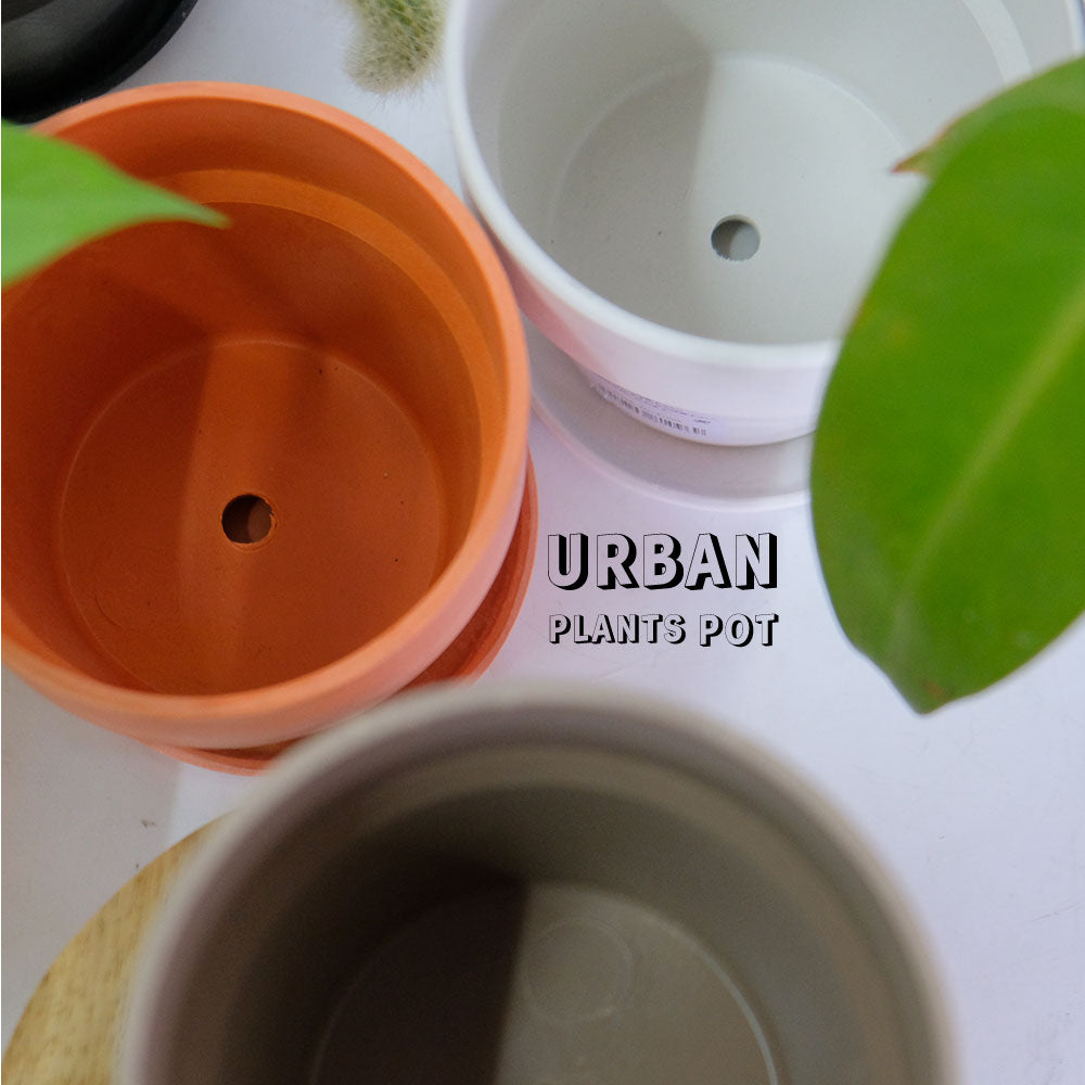 植木鉢 おしゃれ 軽い プラ鉢 ソリッド10 受皿付 3号鉢 プラスチック カラフル プランター 鉢径10cm 高さ9.5cm プランツポット かわいい