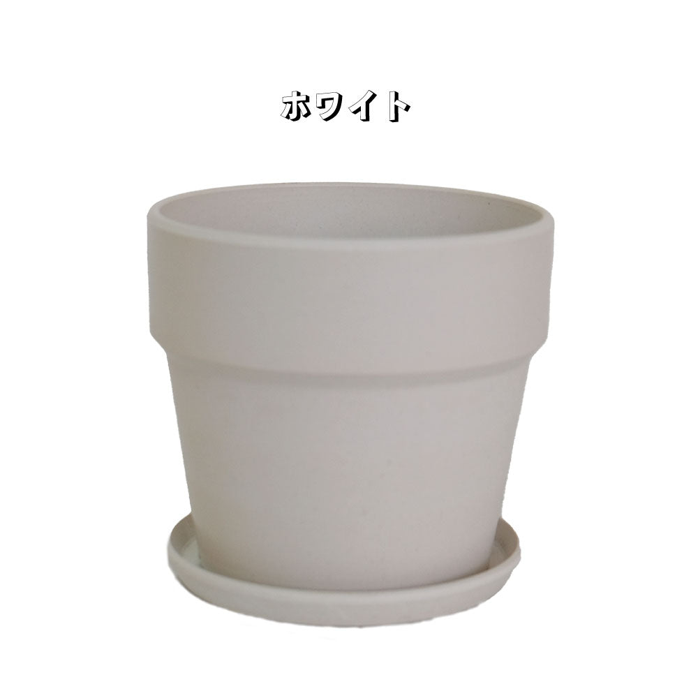 植木鉢 おしゃれ 軽い プラ鉢 ソリッド10 受皿付 3号鉢 プラスチック カラフル プランター 鉢径10cm 高さ9.5cm プランツポット かわいい