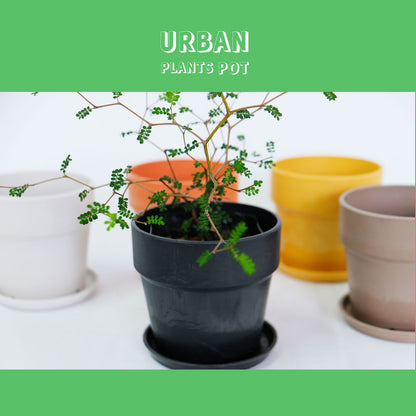 植木鉢 おしゃれ 軽い プラ鉢 ソリッド10 受皿付 3号鉢 プラスチック カラフル プランター 鉢径10cm 高さ9.5cm プランツポット かわいい