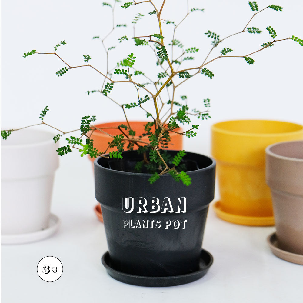 植木鉢 おしゃれ 軽い プラ鉢 ソリッド10 受皿付 3号鉢 プラスチック カラフル プランター 鉢径10cm 高さ9.5cm プランツポット かわいい