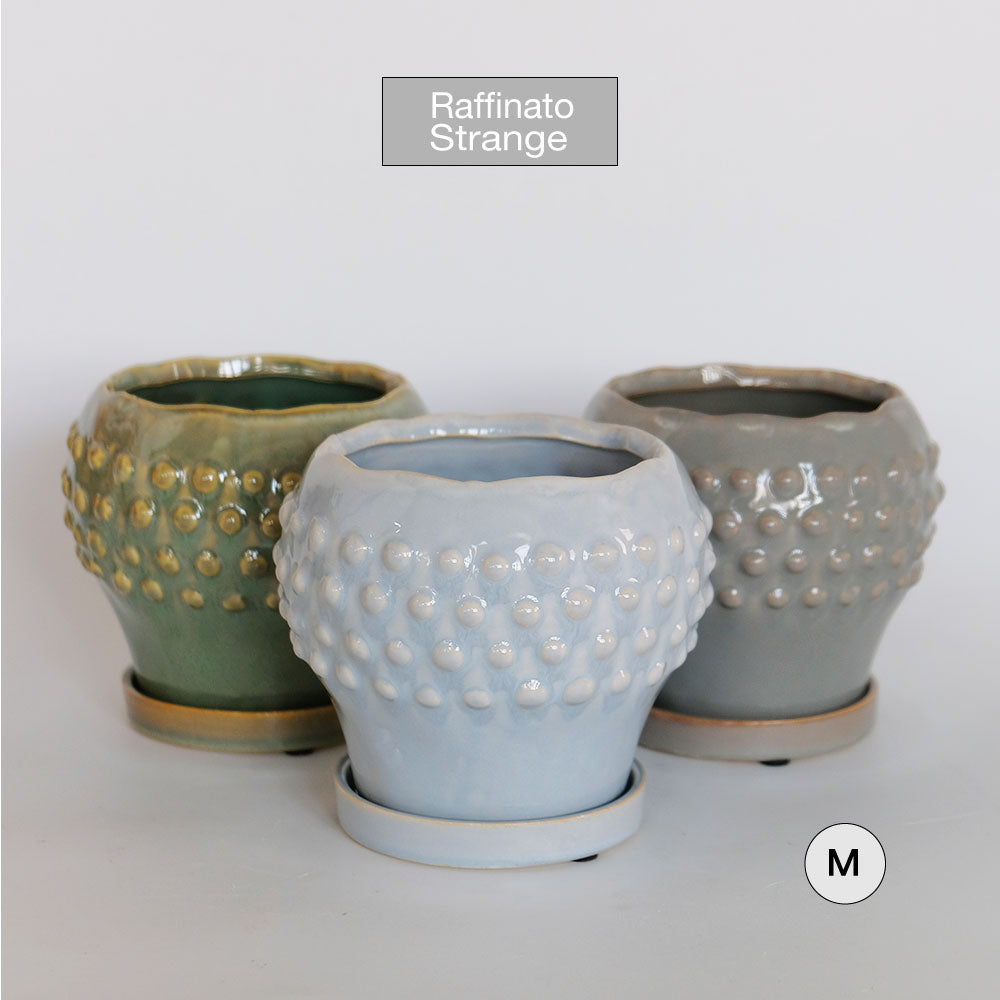 陶器鉢 Raffinato Stange 【S径8cm 高7cm/L径13.5cm 高11cm】 受皿付 底穴あり セラミック鉢 トロンコ tronco