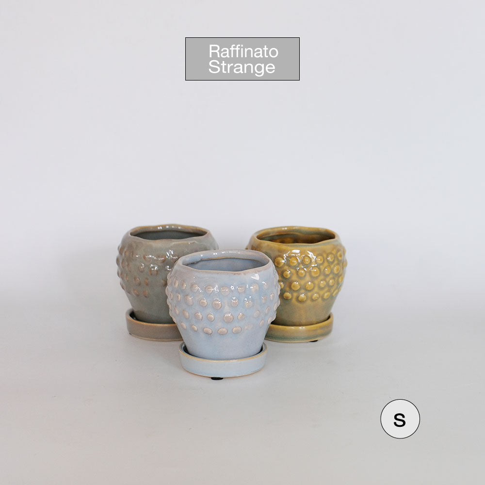 陶器鉢 Raffinato Stange 【S径8cm 高7cm/L径13.5cm 高11cm】 受皿付 底穴あり セラミック鉢 トロンコ tronco