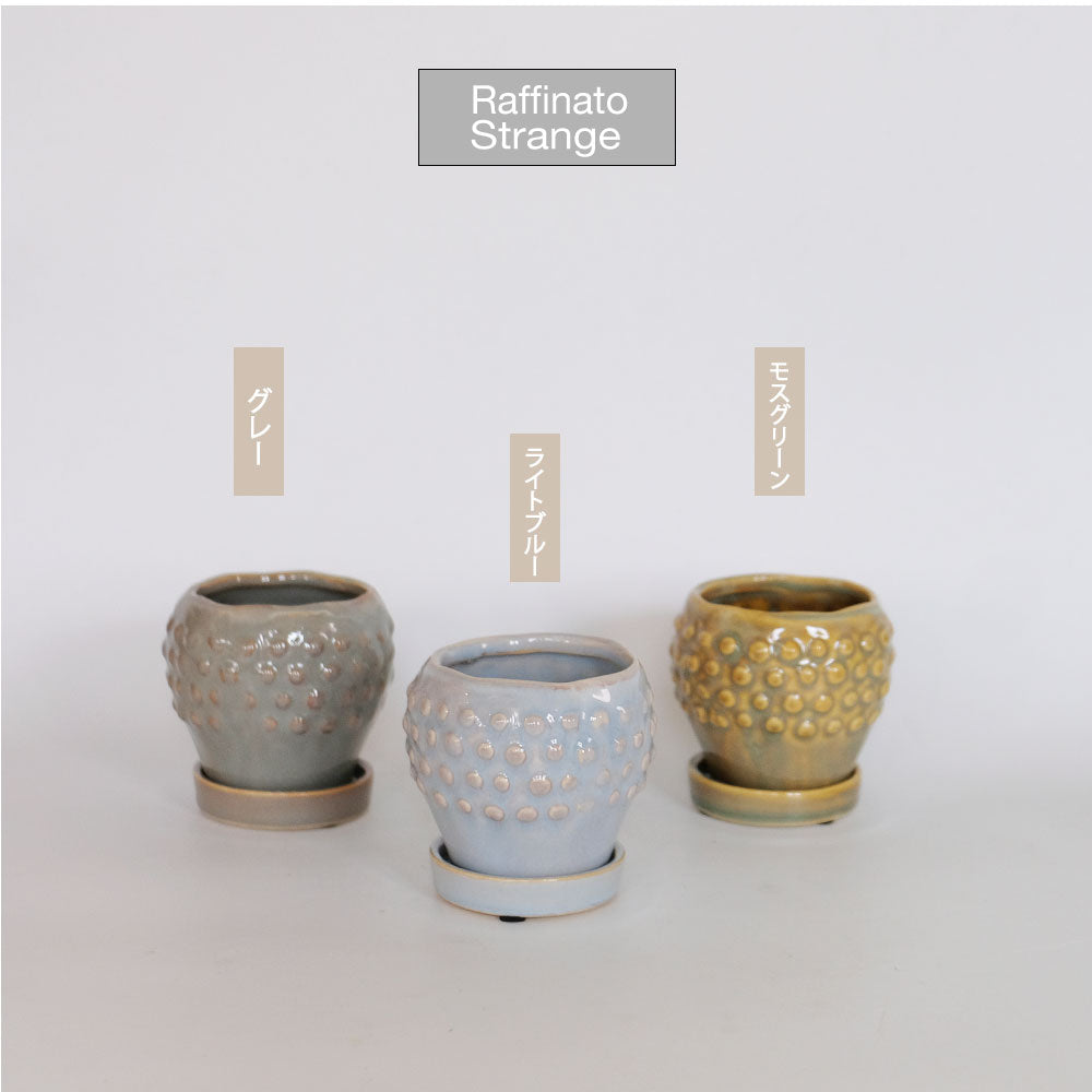 陶器鉢 Raffinato Stange 【S径8cm 高7cm/L径13.5cm 高11cm】 受皿付 底穴あり セラミック鉢 トロンコ tronco