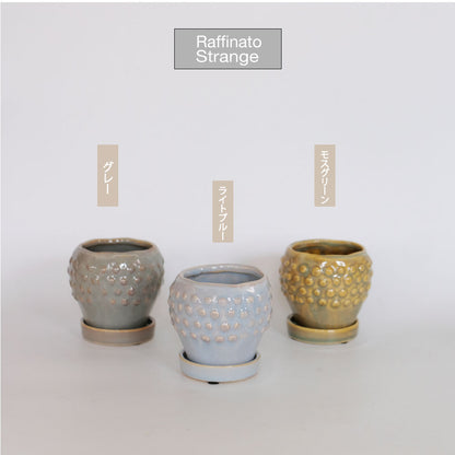 陶器鉢 Raffinato Stange 【S径8cm 高7cm/L径13.5cm 高11cm】 受皿付 底穴あり セラミック鉢 トロンコ tronco