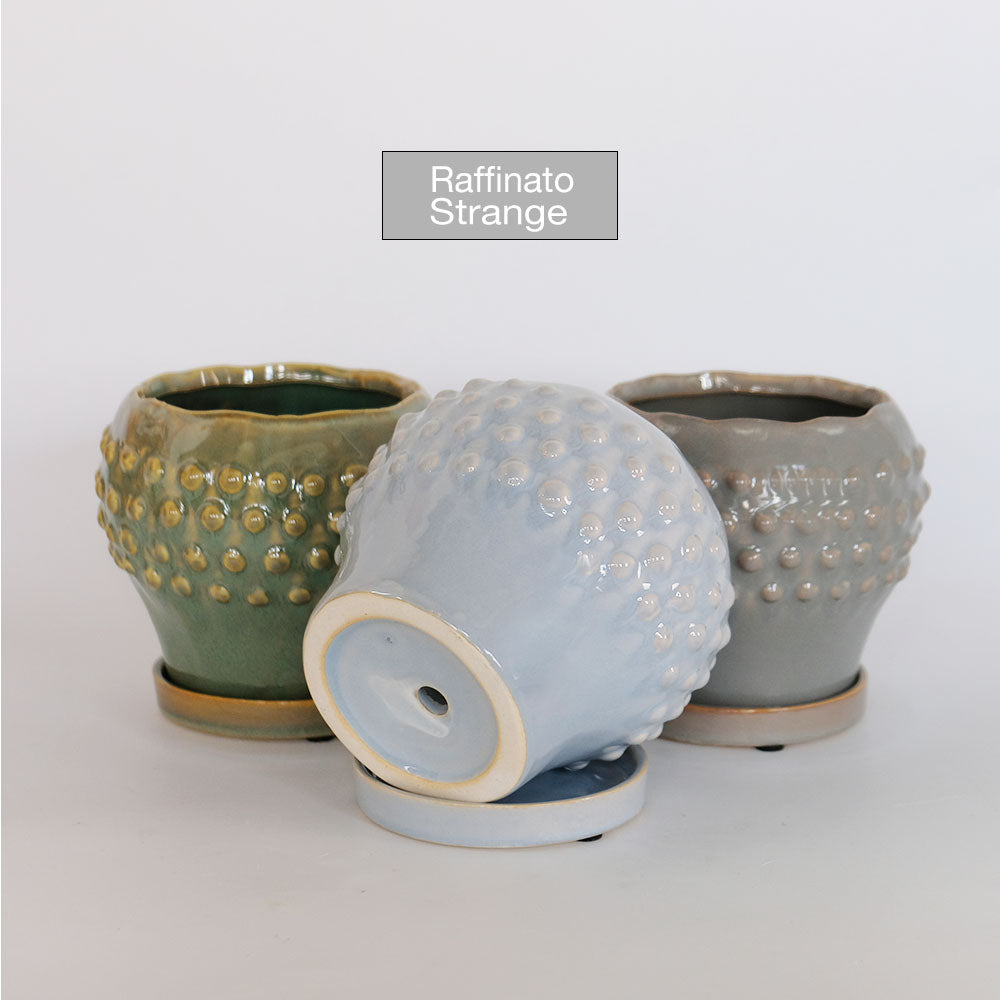 陶器鉢 Raffinato Stange 【S径8cm 高7cm/L径13.5cm 高11cm】 受皿付 底穴あり セラミック鉢 トロンコ tronco