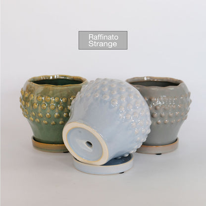 陶器鉢 Raffinato Stange 【S径8cm 高7cm/L径13.5cm 高11cm】 受皿付 底穴あり セラミック鉢 トロンコ tronco