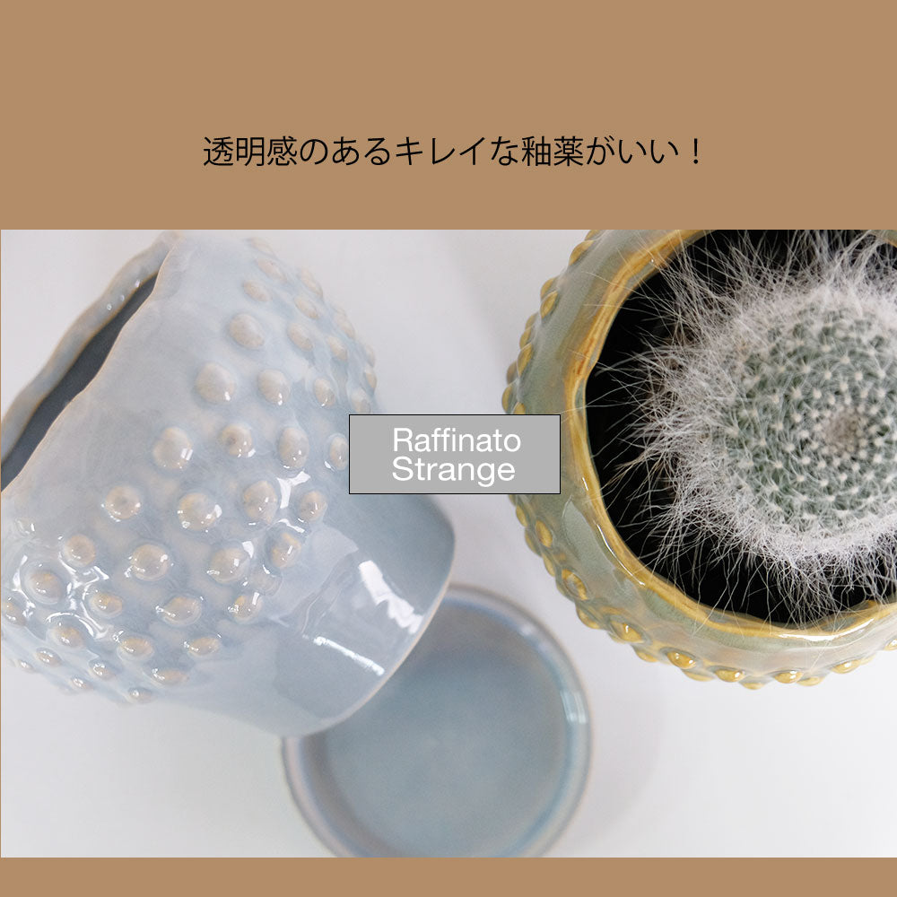 陶器鉢 Raffinato Stange 【S径8cm 高7cm/L径13.5cm 高11cm】 受皿付 底穴あり セラミック鉢 トロンコ tronco