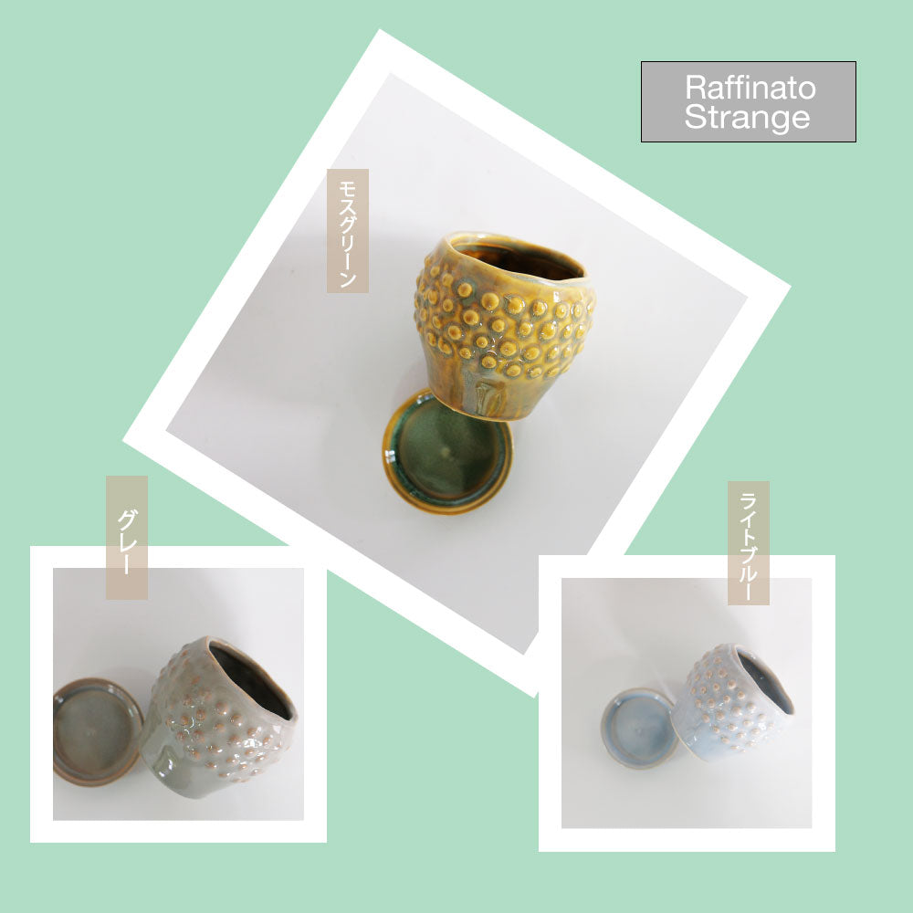 陶器鉢 Raffinato Stange 【S径8cm 高7cm/L径13.5cm 高11cm】 受皿付 底穴あり セラミック鉢 トロンコ tronco