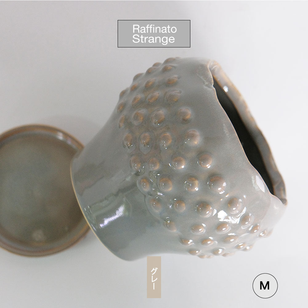 陶器鉢 Raffinato Stange 【S径8cm 高7cm/L径13.5cm 高11cm】 受皿付 底穴あり セラミック鉢 トロンコ tronco