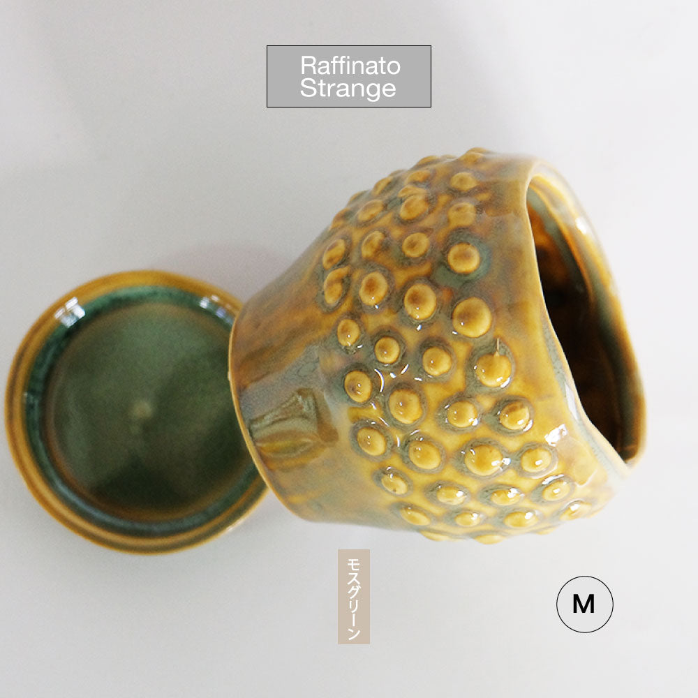 陶器鉢 Raffinato Stange 【S径8cm 高7cm/L径13.5cm 高11cm】 受皿付 底穴あり セラミック鉢 トロンコ tronco