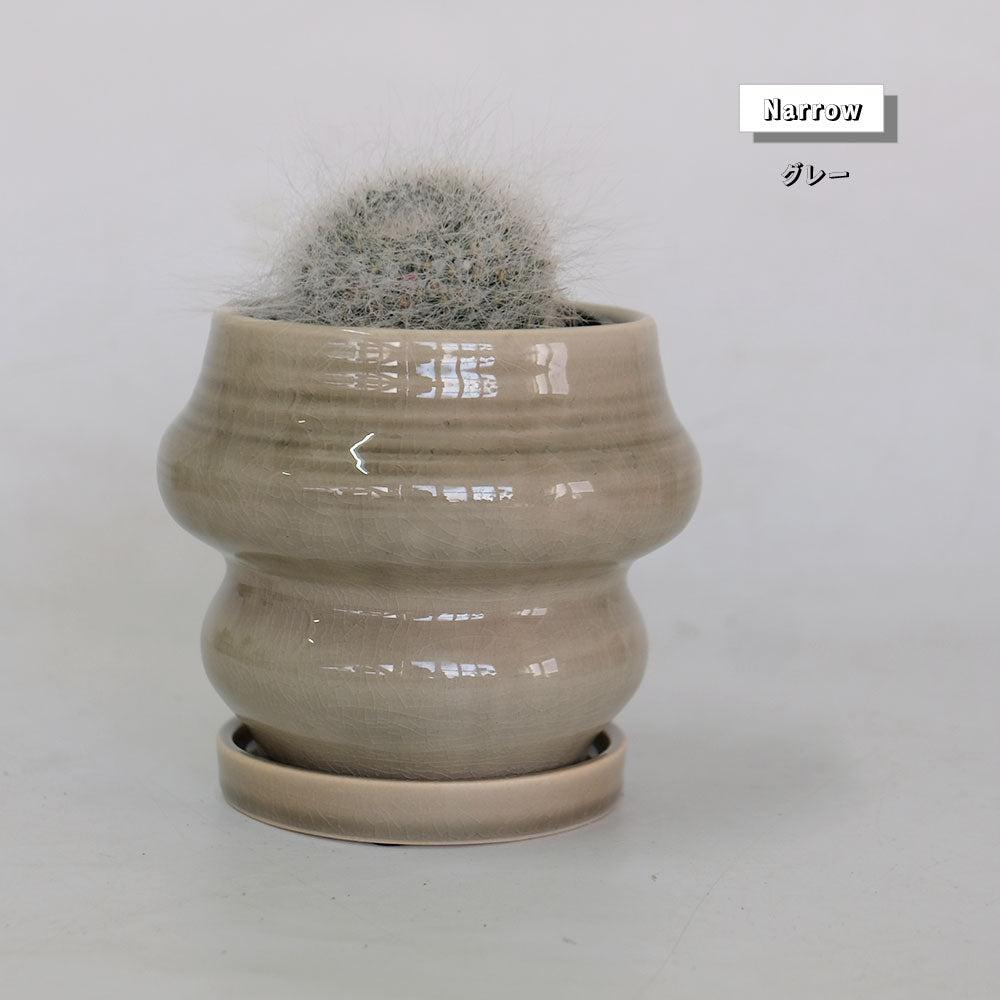植木鉢おしゃれ rafinato Narrow 12 受皿付 径12cm 高11cm 底穴あり