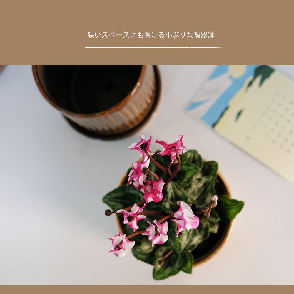 陶器鉢 おしゃれ Raffinato Streak pot  底穴あり セラミック鉢 径10.5cm 高10.5cm