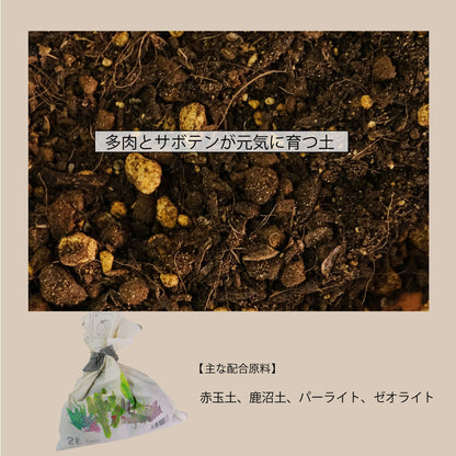 多肉とサボテンの培養土2L 通気性 排水性 赤玉土 鹿沼土 バーライト ゼオライト