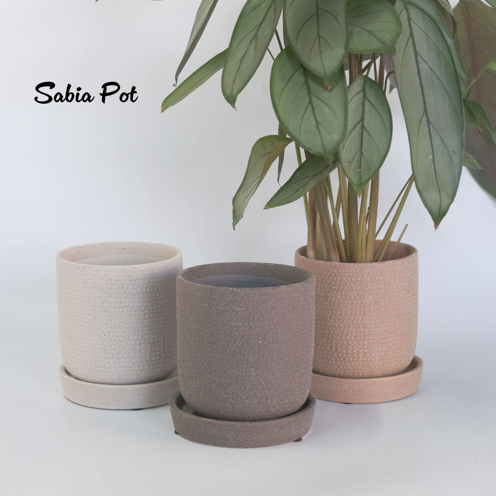 陶器鉢 おしゃれ sabia pot  底穴あり セラミック鉢 径10.5cm 高11cm