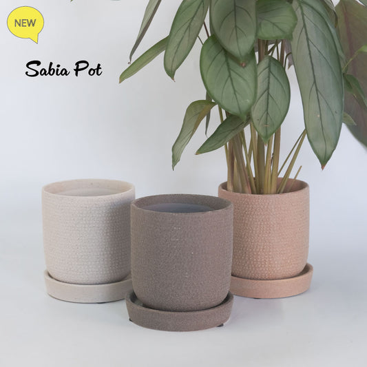 陶器鉢 おしゃれ sabia pot  底穴あり セラミック鉢 径10.5cm 高11cm
