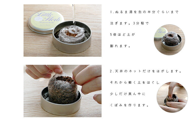 【メール便送料無料】  サボテン 缶栽培セットミックス種 さぼてん カクタス