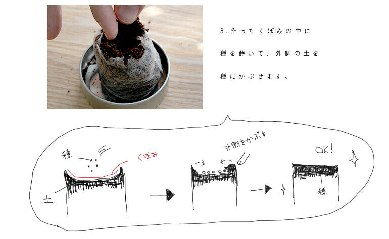 【メール便送料無料】  サボテン 缶栽培セットミックス種 さぼてん カクタス