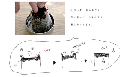 【メール便送料無料】  サボテン 缶栽培セットミックス種 さぼてん カクタス