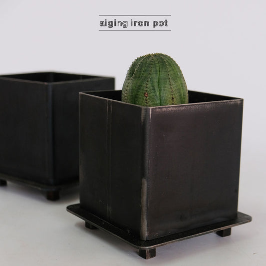 鉄製鉢カバー エイジングアイアンポット 植木鉢 おしゃれ 観葉植物 小物入れ かわいい 鉄製鉢カバー stem