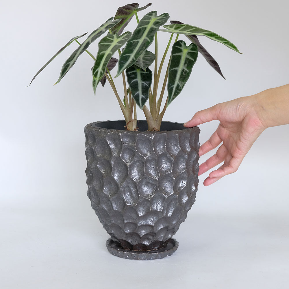 植木鉢  bitter long pot 陶器 おしゃれ 径18cm 高20cm 底穴あり