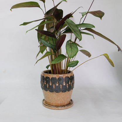 植木鉢 Eartn Color Pot 陶器 ベージュトーン アースカラー 懸崖3.5号鉢用 径15cm 高14cm 底穴あり