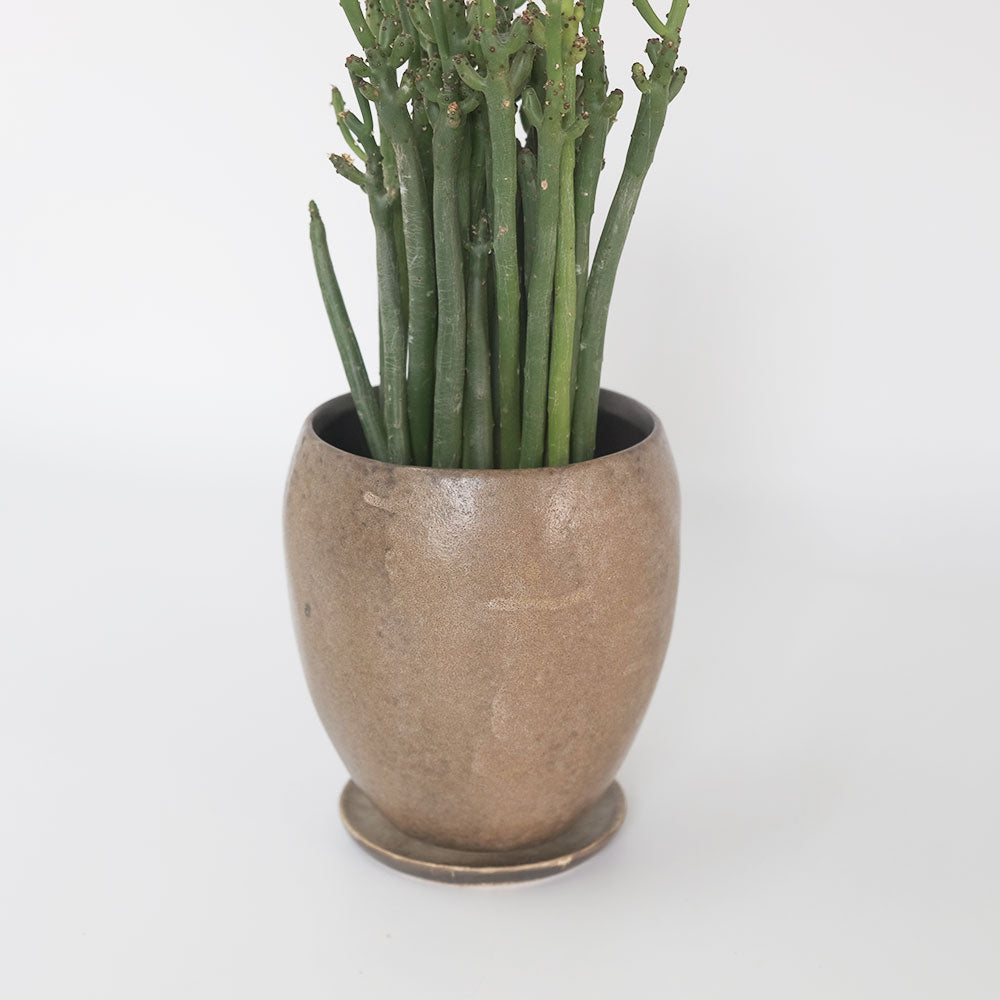 植木鉢 おしゃれ 陶器鉢 ミネラルポット10 セラミック stem 径10cm 高13cm 底穴あり