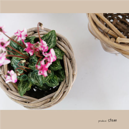 Gray Rattan  鉢カバー おしゃれ バスケット ラタン 植木鉢 カバーバスケット 懸崖鉢カバー３号 ４号