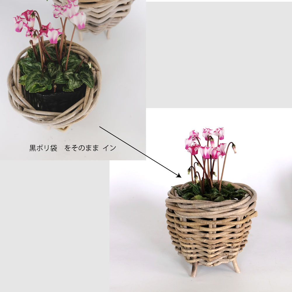 Gray Rattan  鉢カバー おしゃれ バスケット ラタン 植木鉢 カバーバスケット 懸崖鉢カバー３号 ４号