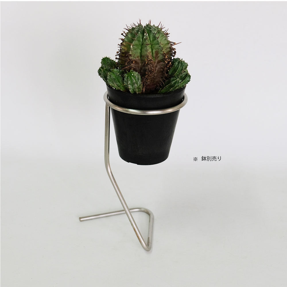 植木鉢スタンド  ステンレススタンド12 フラワースタンド ポットスタンド 鉢台 高さ25cm