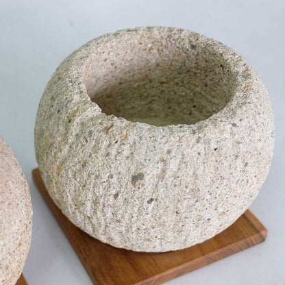 ストーンポット チーク材の受け皿付 stem サボテン 多肉 植木鉢 自然石