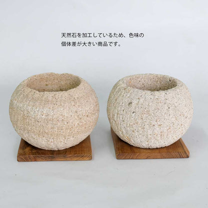 ストーンポット チーク材の受け皿付 stem サボテン 多肉 植木鉢 自然石