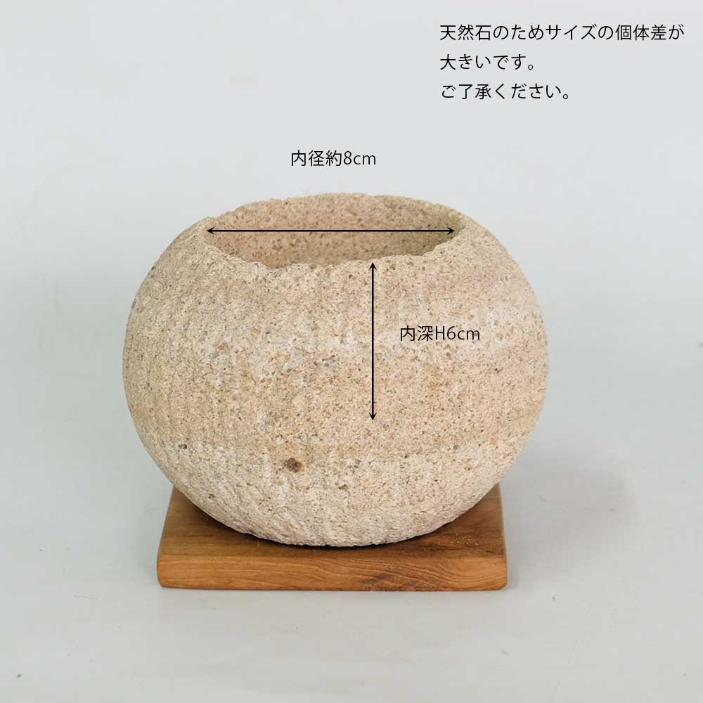 ストーンポット チーク材の受け皿付 stem サボテン 多肉 植木鉢 自然石