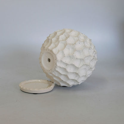 植木鉢  white Bumpy pot 陶器 おしゃれ 径16cm 高14.5cm 底穴あり セラミックポット