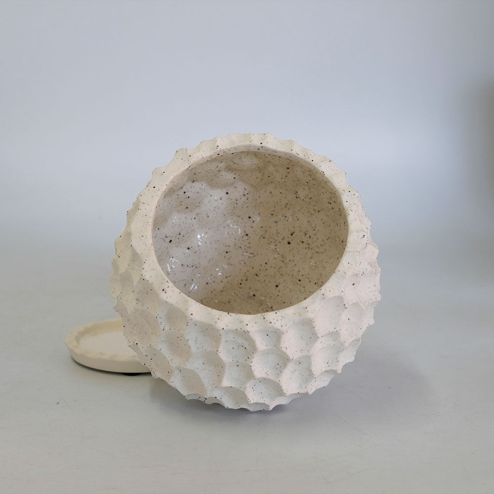 植木鉢  white Bumpy pot 陶器 おしゃれ 径16cm 高14.5cm 底穴あり セラミックポット