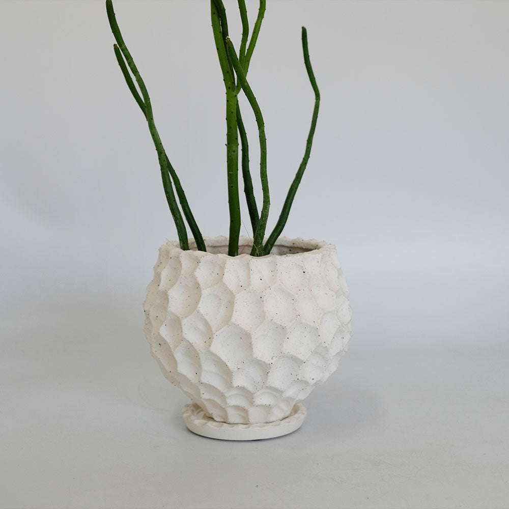 植木鉢  white Bumpy pot 陶器 おしゃれ 径16cm 高14.5cm 底穴あり セラミックポット
