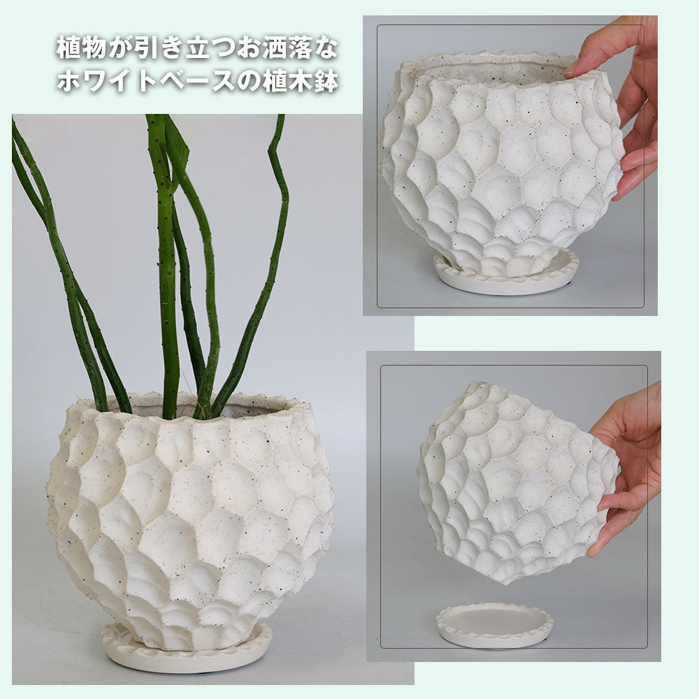 植木鉢  white Bumpy pot 陶器 おしゃれ 径16cm 高14.5cm 底穴あり セラミックポット